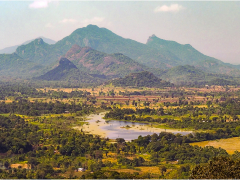 View from Lion Rock, Sigiriya by Dave Rippon