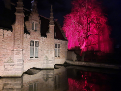 Pink Tree by Willem Van Herp