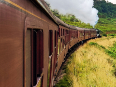 North Yorkshire Moors Railway by Dave Rippon