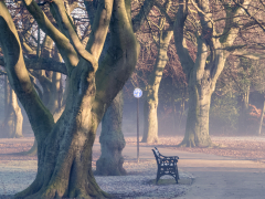 A Frosty Morning in Locke Park by Robert Bishop