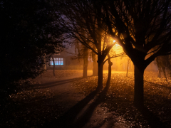Locke Park at Night by Robert Bishop