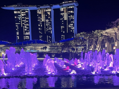 Singapore by Night by Steve Hawcroft