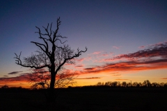Winter Sunset by Phil Edwards
