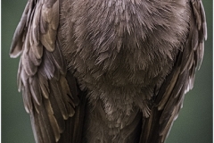 I've Got My Eye On You by Jeff Moore