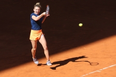 Forehand Shot by Willem Van Herp