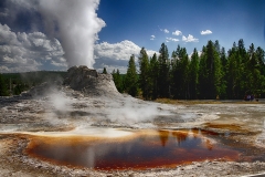 Yellowstone Geyser by Willem Van Herp
