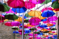 Hoping For Rain by Jeff Moore