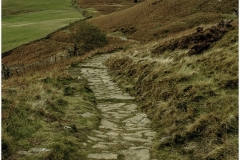 The Path to the Top by Jeff Moore
