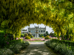 Brodsworth Hall Thro Laburnum Arch by Phil Edwards