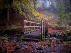 Autumn At Wyming Brook by Robert Bishop