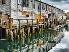 Harbour Fish Market by Dave Rippon