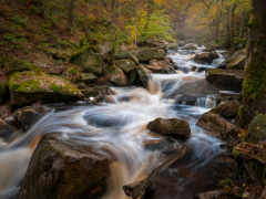 Cascading Through Autumn by Robert Bishop