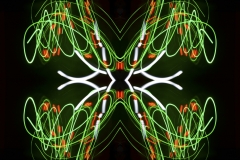 Painting in Light  by Dave Rippon 4