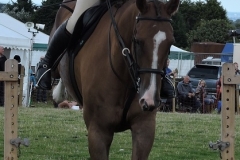 A CLEAR ROUND by Paul Coverdale