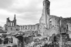 BYLAND ABBEY by Paul Coverdale