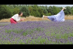LAVENDER-CARTWHEEL-by-Pul-Coverdale