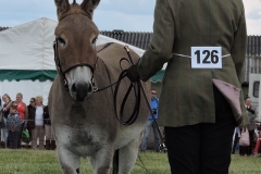 NUMBER 126 by Paul Coverdale