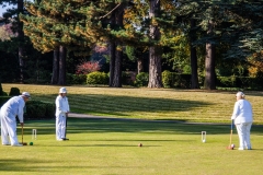 ANYONE FOR CROQUET by Phil Edwards