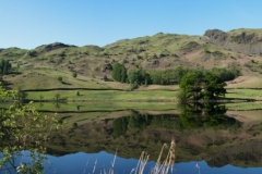 RYDAL WATER  by Phil Edwards