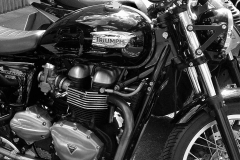 TRIUMPH by Phil Edwards