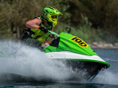 Green Rider by Robert Bishop