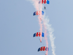 RAF Falcons by Phil Edwards