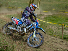 Motocross by Dave Rippon