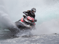 She is Going for Gold by Paul Wagstaff