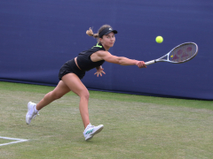 Reaching for the Ball by Willem Van Herp