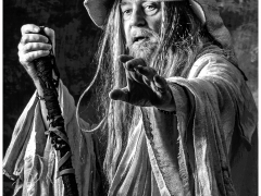 The Fortune Teller by Brian Johnson