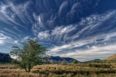 DSC_0721_HDR3