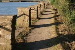 Rhiannon Rees 1