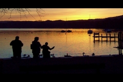 Sunset Silhouette
